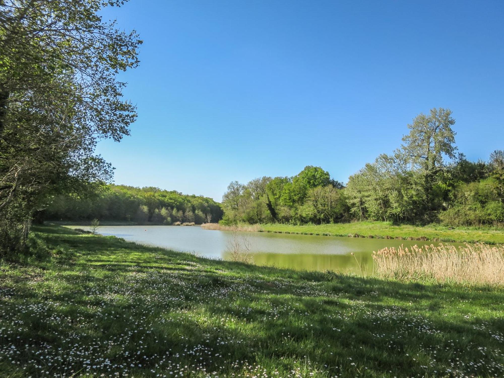 Petit Est - Eco In Large Private Garden Near Saint-emilion * Blasimon