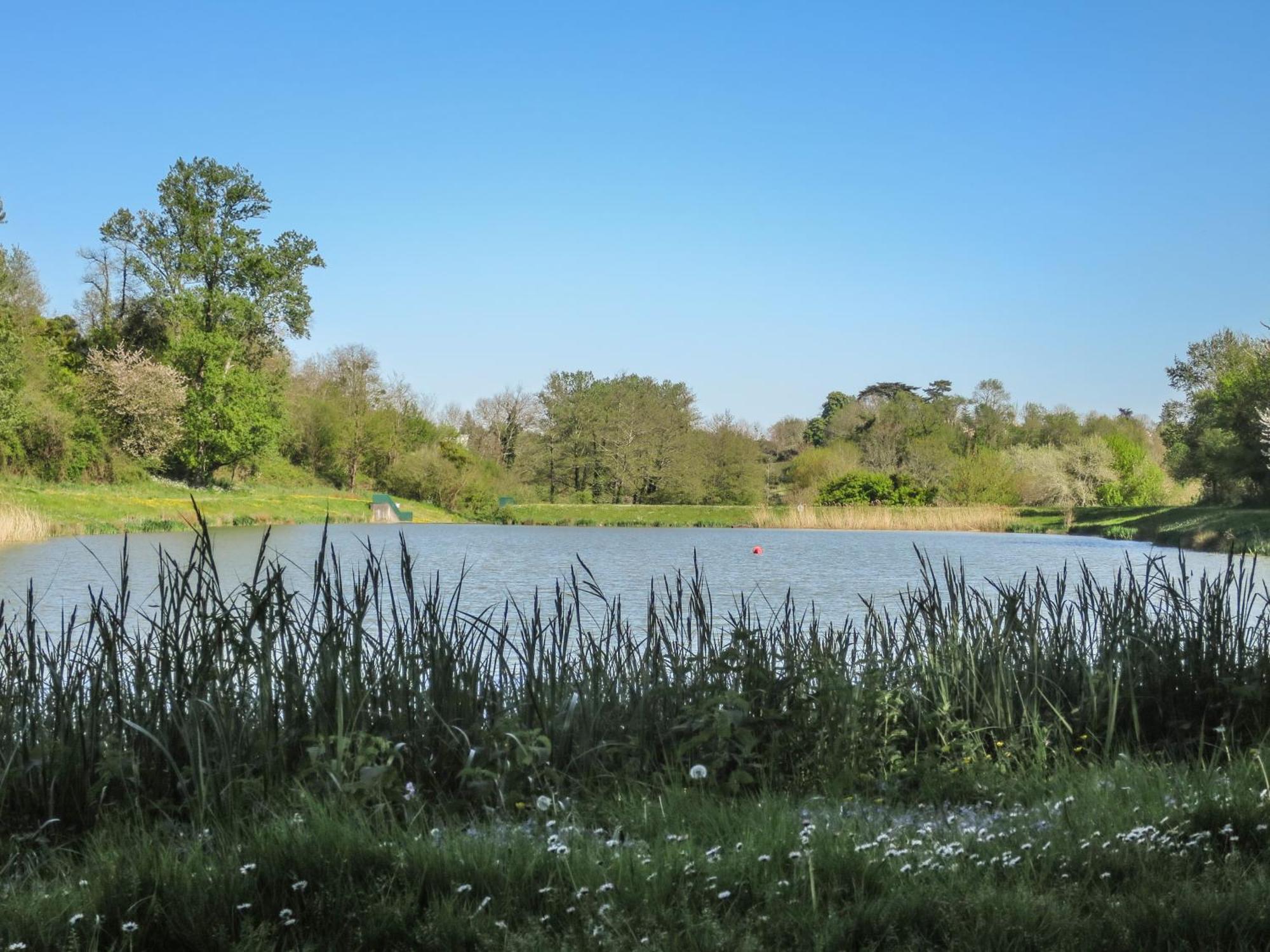Holiday home Petit Est - Eco In Large Private Garden Near Saint-emilion *