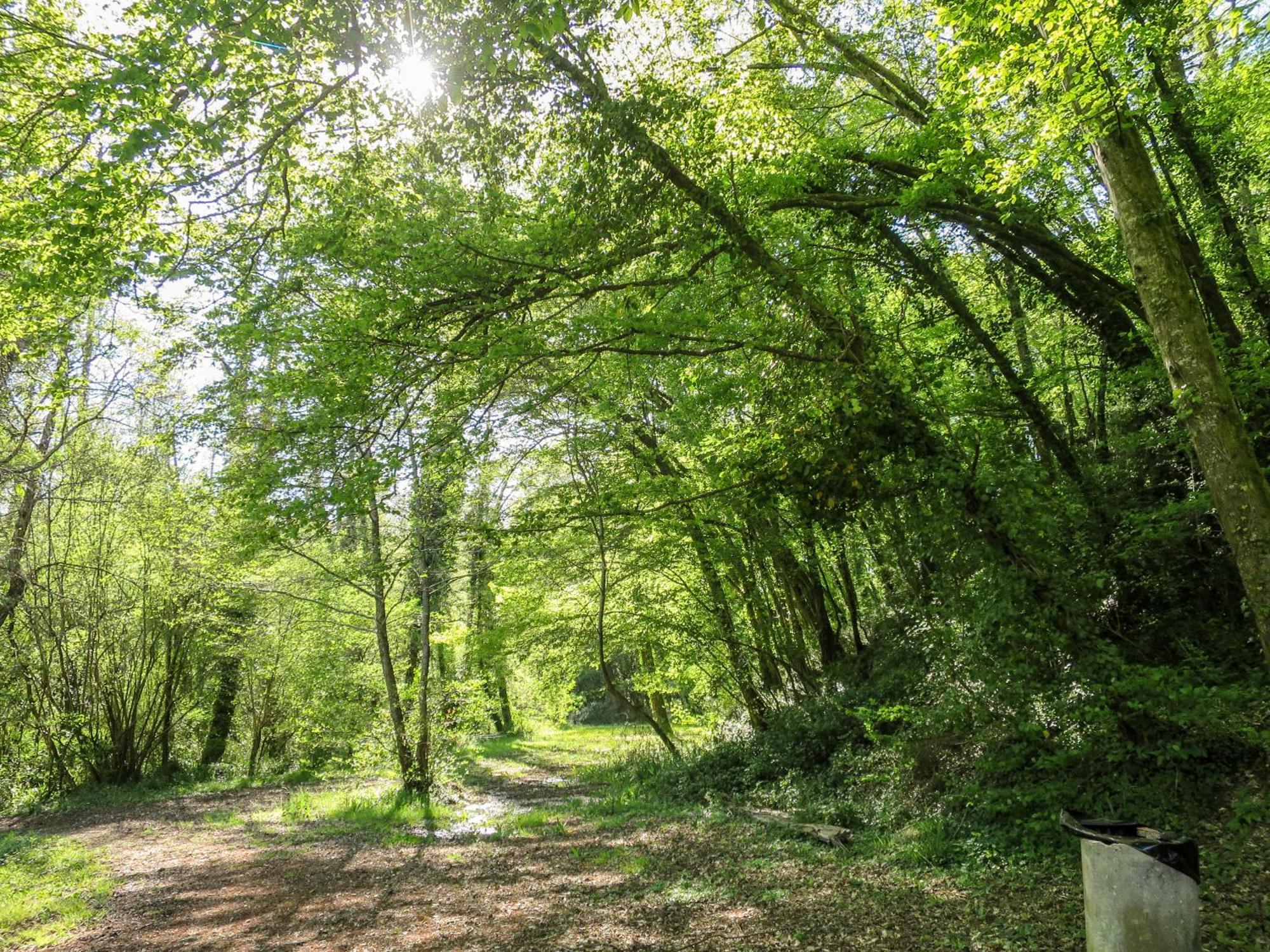Petit Est - Eco In Large Private Garden Near Saint-emilion Holiday home Blasimon