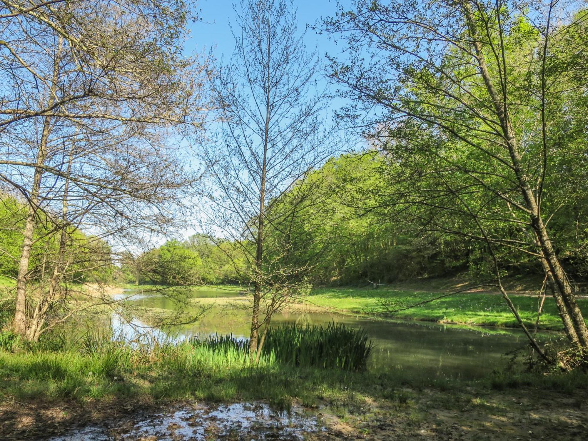 Petit Est - Eco In Large Private Garden Near Saint-emilion Blasimon